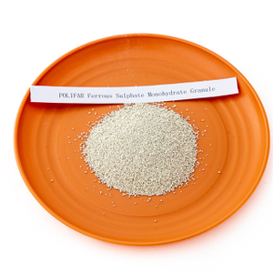 Poudre de sulfate ferreux monohydraté de qualité alimentaire/qualité industrielle