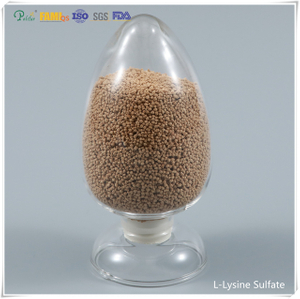 Nourrir l'additif sulfate de lysine 70% Grade d'alimentation