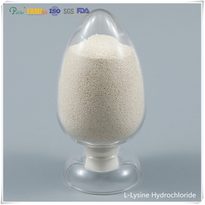 Chlorhydrate de l-lysine 98,5% de qualité d'alimentation CAS no. 657-27-2 
