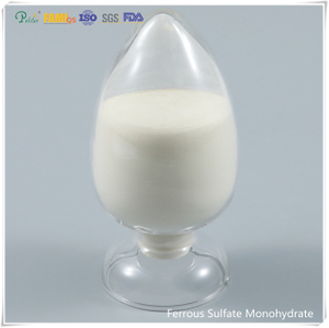 Poudre de sulfate ferreux monohydraté de qualité alimentaire/qualité industrielle