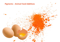 //5ororwxhomoniik.leadongcdn.com/cloud/lqBqnKmmSRpjppnlqokm/Feed-pigments.jpg